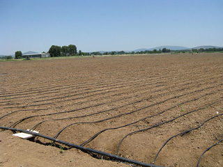 irrigation project